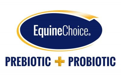 Equine Choice