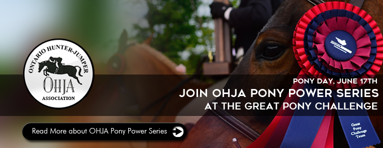 Angelstone The Great Pony Challenge OHJA pony power series