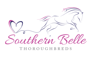 Southern Belle Thoroughbreds