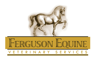 Ferguson Equine Veterinary Services