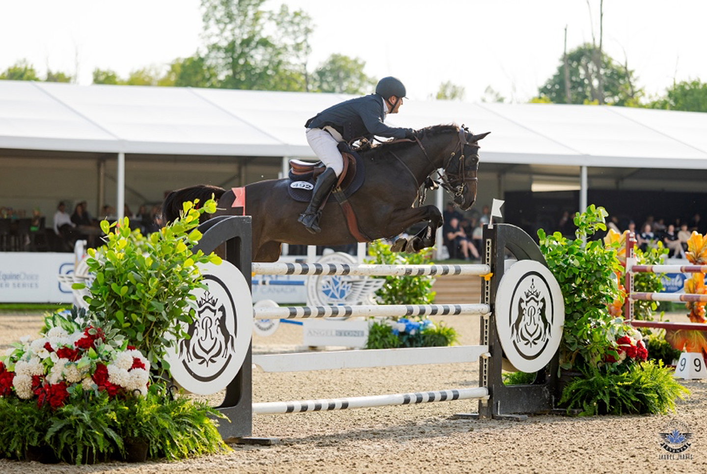 (Elliott Stone and Montana; photo credit Laurel Jarvis Photo)