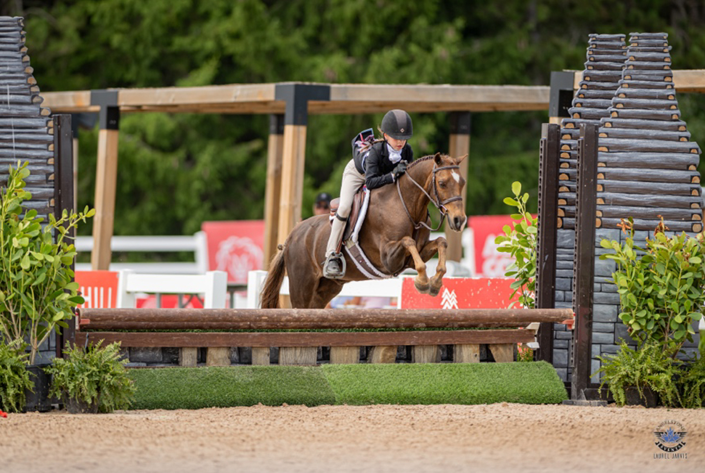 (Crown Ridge Finnegan and Penelope MorassuM; photo credit Laurel Jarvis Photo)