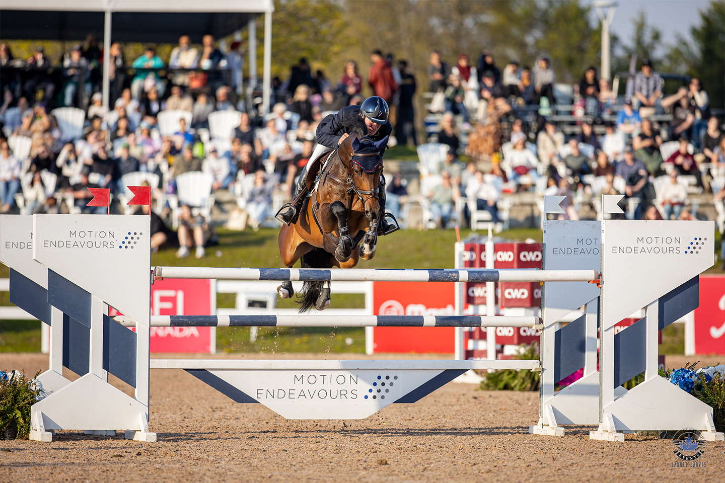 (Jay Hayes & Hope VA ; Photo credit Laurel Jarvis Photo)