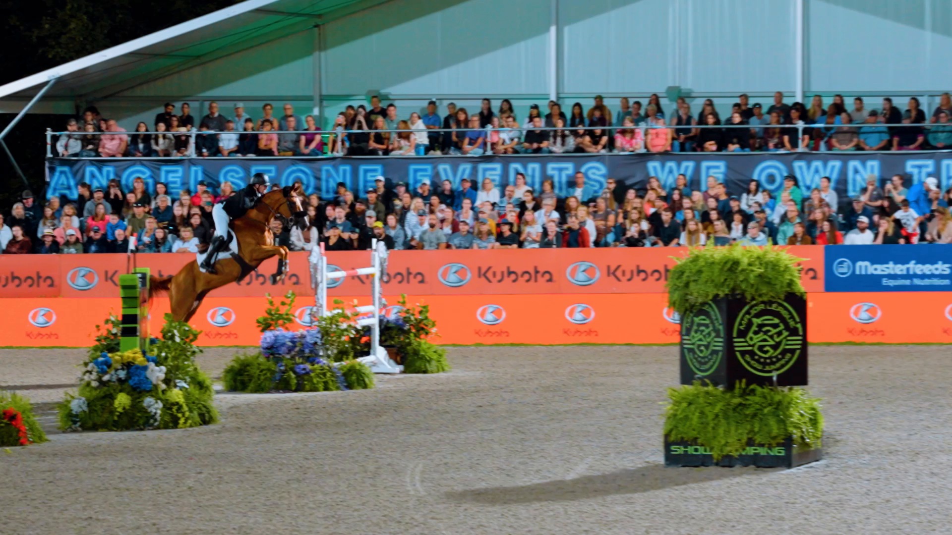 Packed stands for a night Grand Prix at MLSJ Toronto, Angelstone